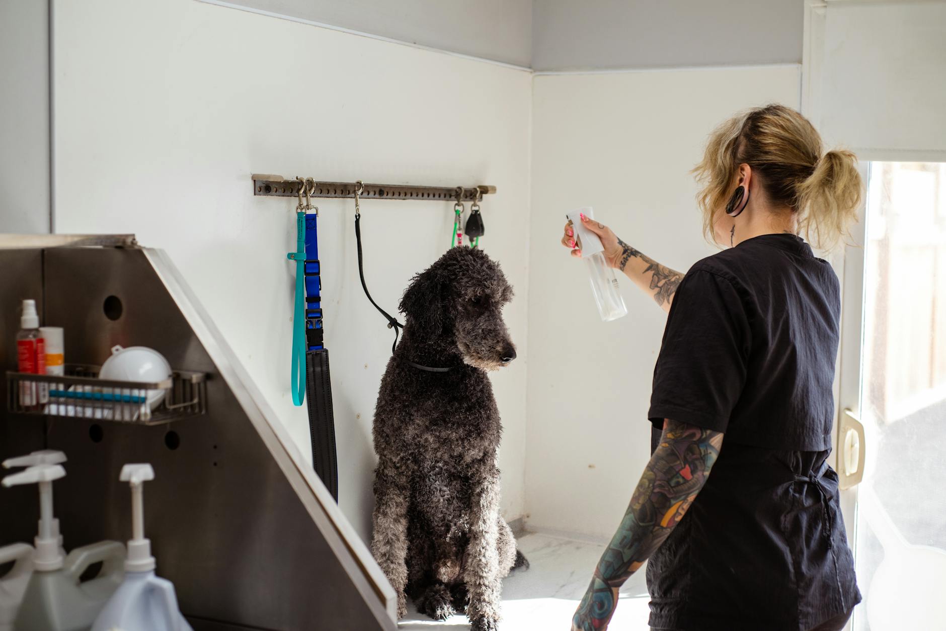 How Grooming Wounds Healing Spray Can Help Your Pet