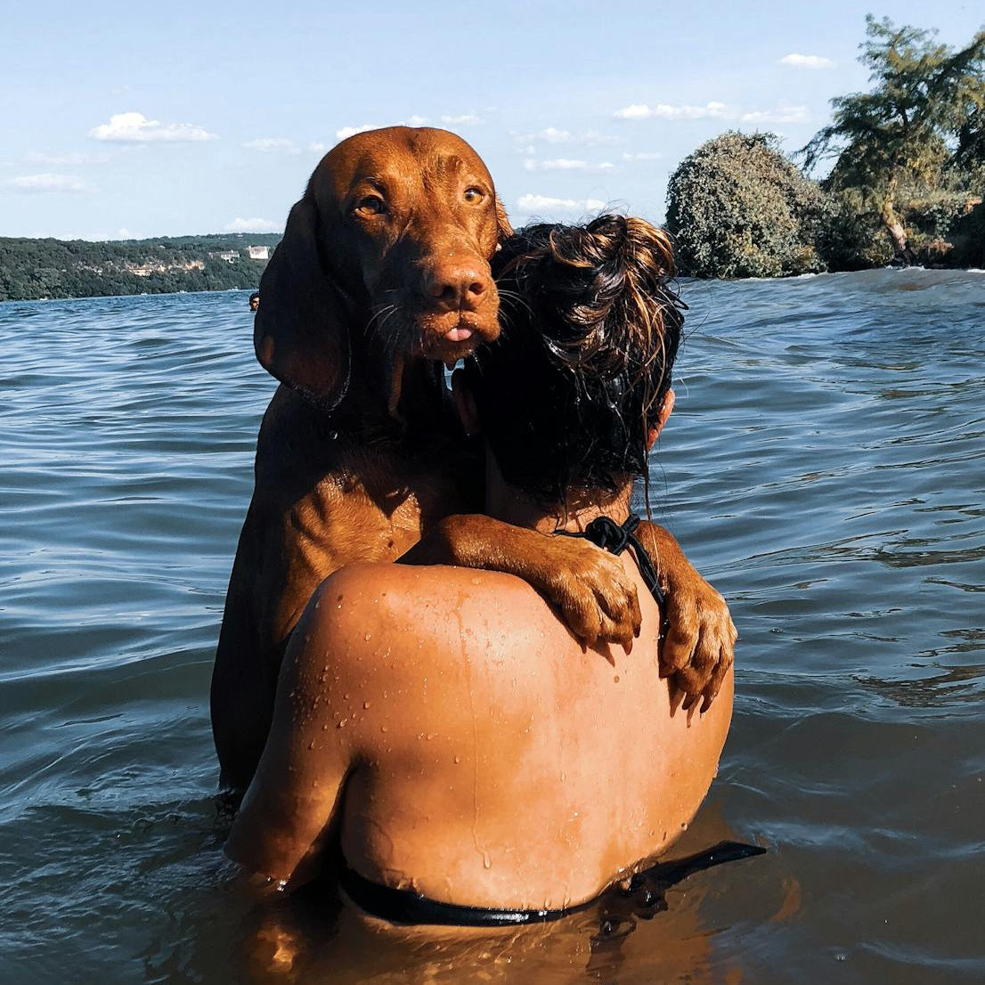 Bathing Frequency for Malaysian Pets: What Owners Should Know