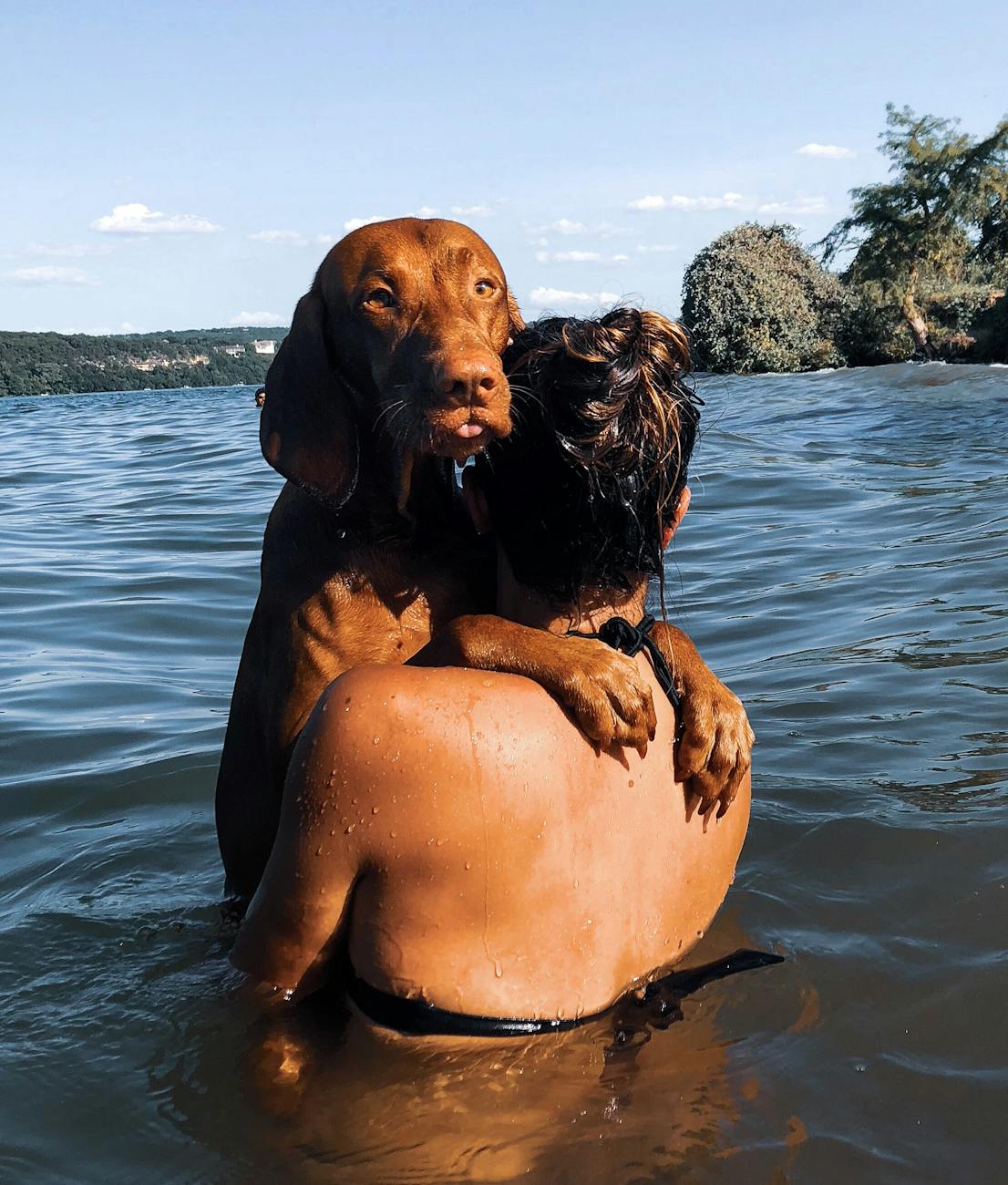 Bathing Frequency for Malaysian Pets: What Owners Should Know