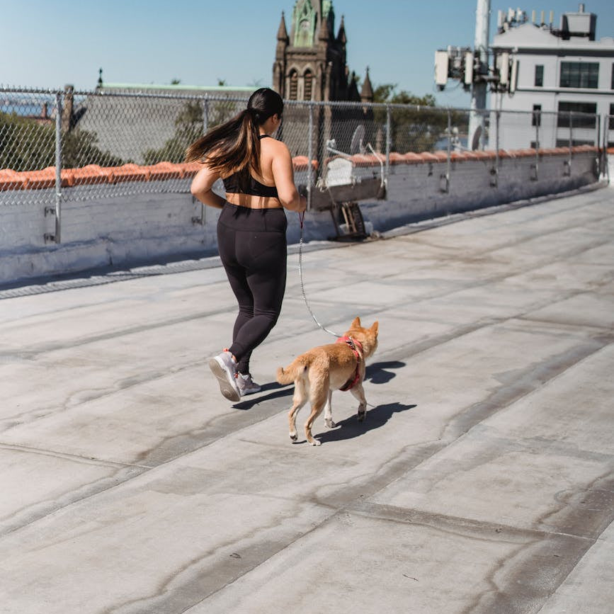 The Ultimate Guide to Pet Health Wellness in Malaysia