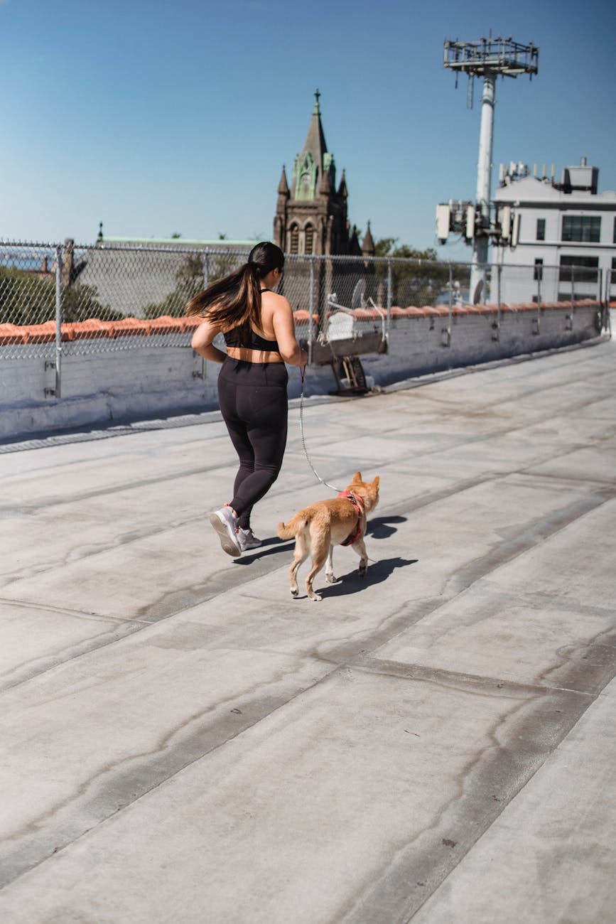 The Ultimate Guide to Pet Health Wellness in Malaysia