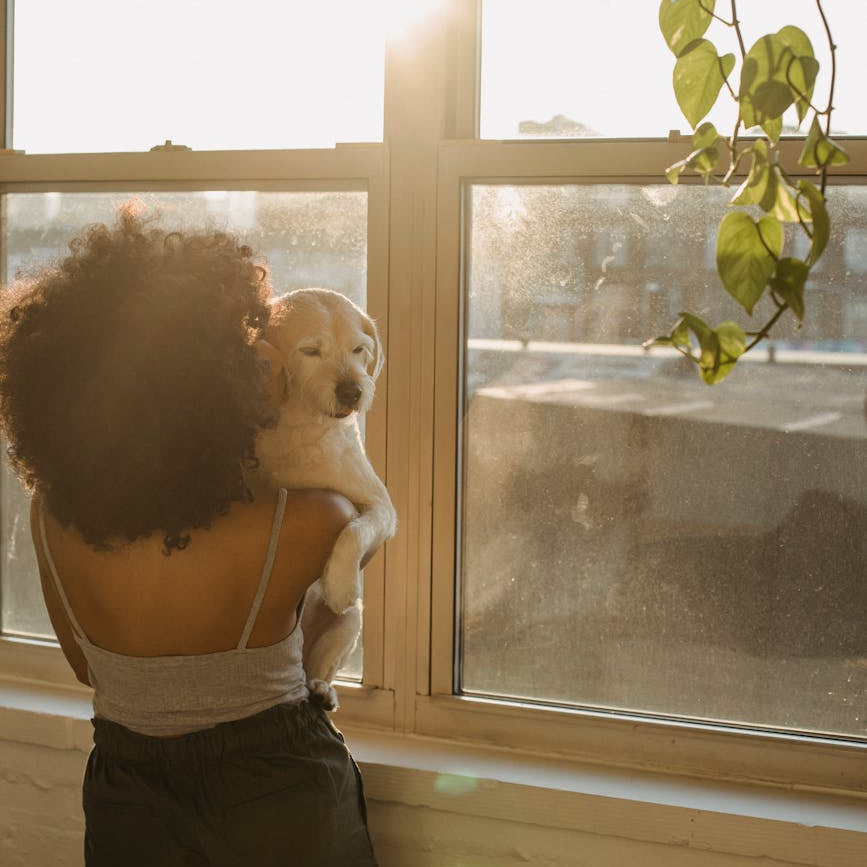 Pet Fever Signs You Can’t Ignore: Home Care in Malaysia