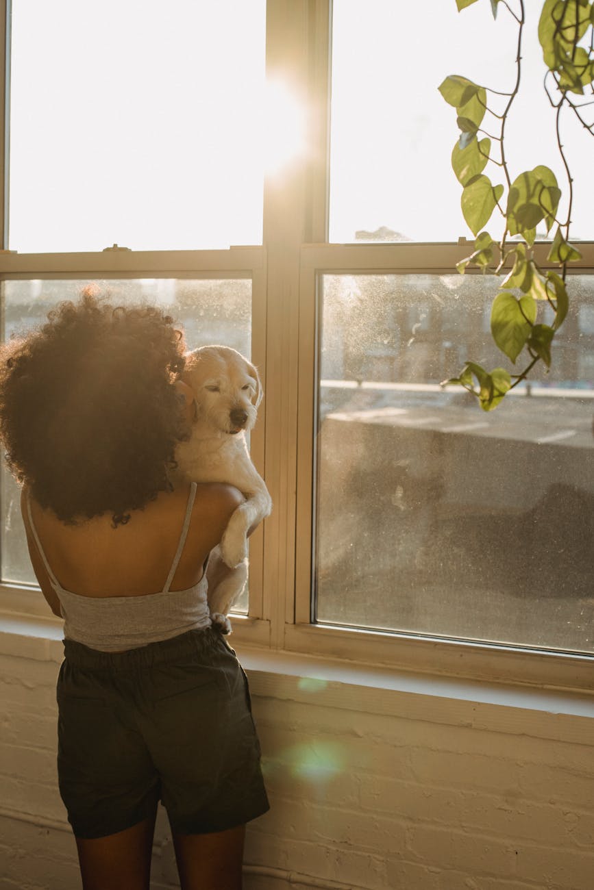 Pet Fever Signs You Can’t Ignore: Home Care in Malaysia
