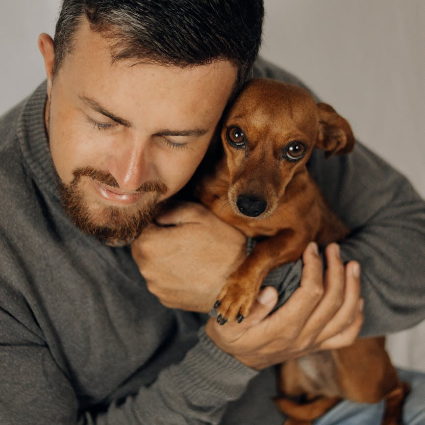 What to Know About Safe Human-Grade Ingredients in Pet Care