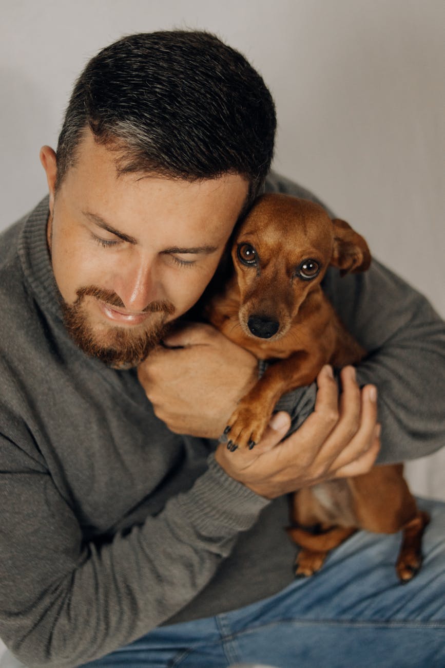 What to Know About Safe Human-Grade Ingredients in Pet Care