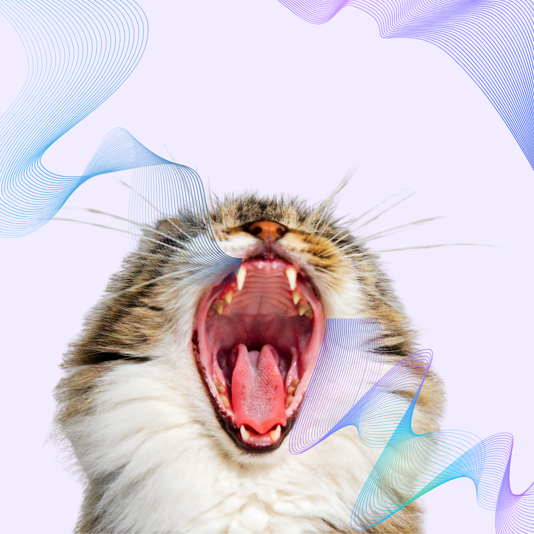 Your Cat's Breath Is Trying to Tell You Something