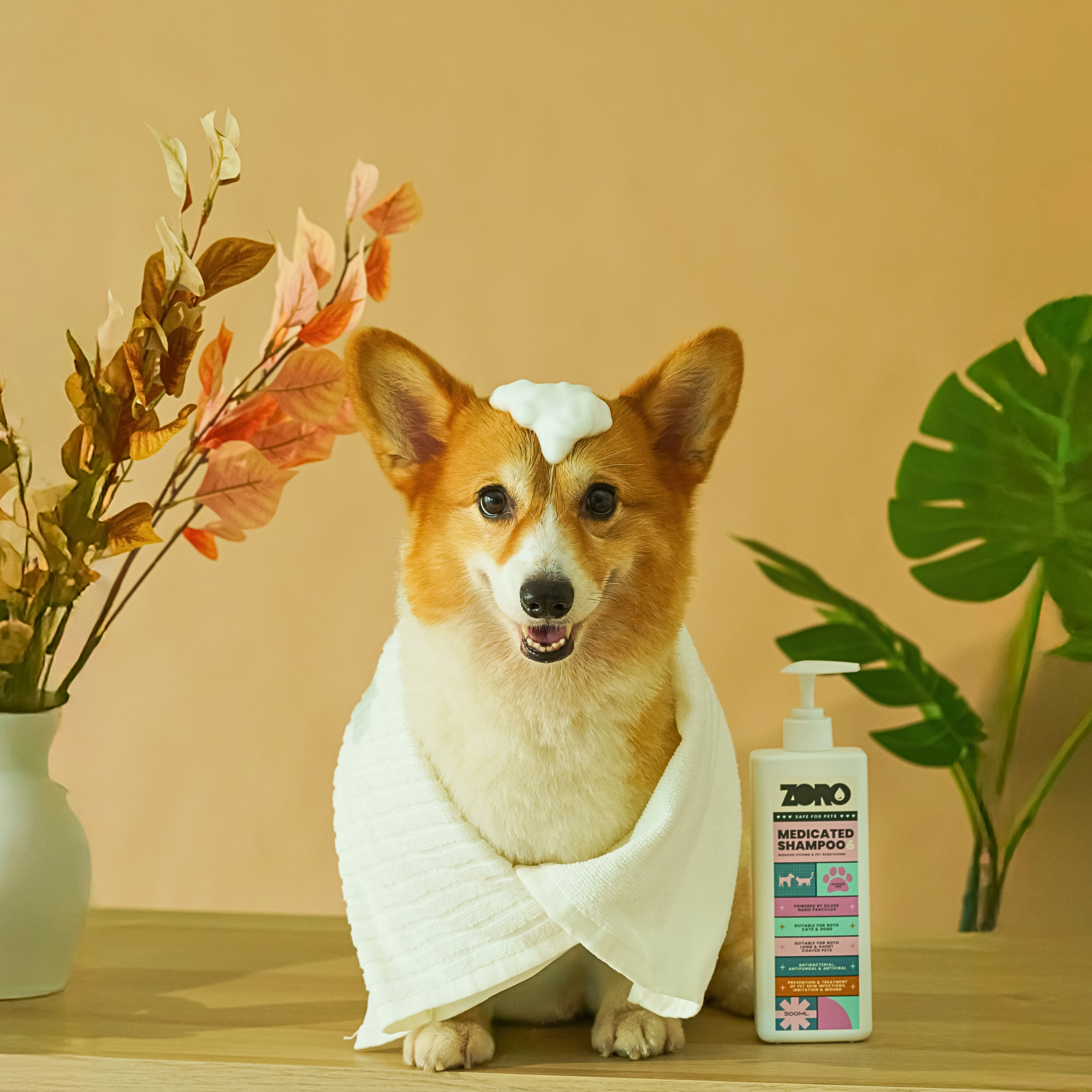 Pet Care