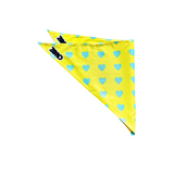 ZORO Pet Bandana